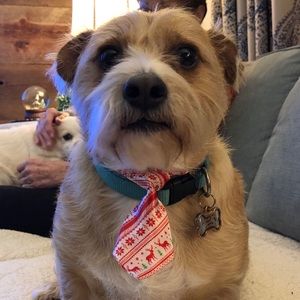 Meet your Posher, Bryan